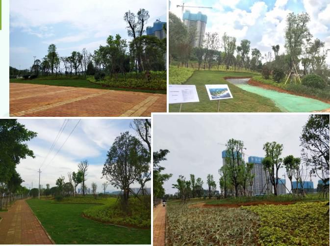 1564619013569955.jpg 360截圖20190801082027019.jpg