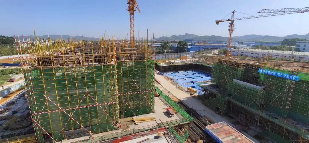 1574514996598399.jpg 1574514996598399.jpg