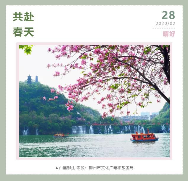 1582895020610233.jpg 20200228210229379.jpg