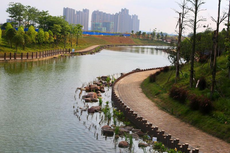 1589035103155301.jpg 1589035103155301.jpg