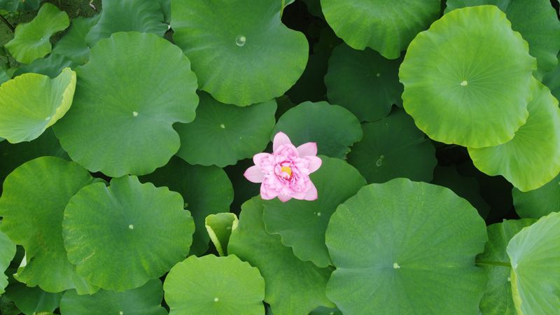 image001.jpg