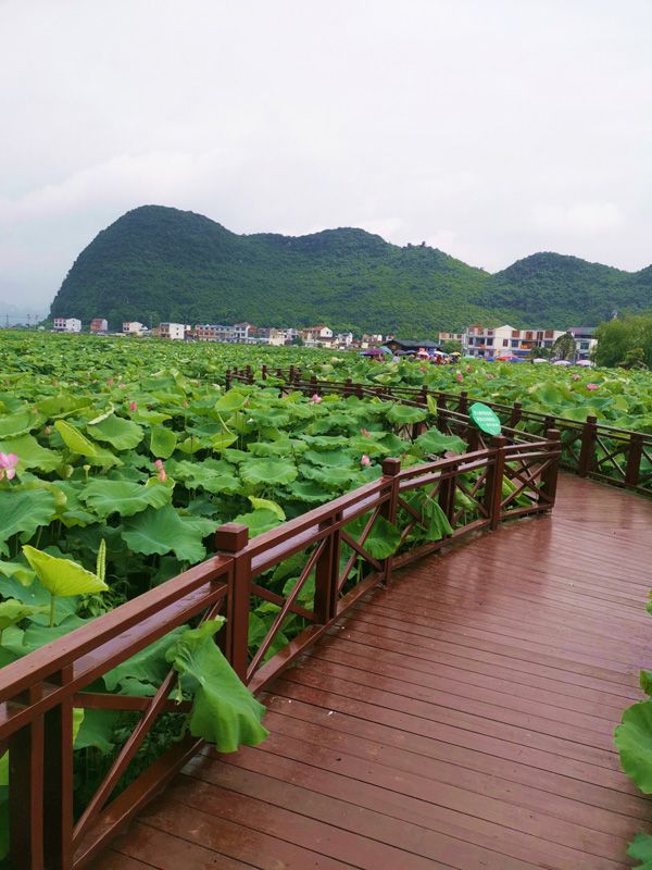 image009.jpg