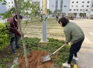 1617612121109206.jpg 10.jpg