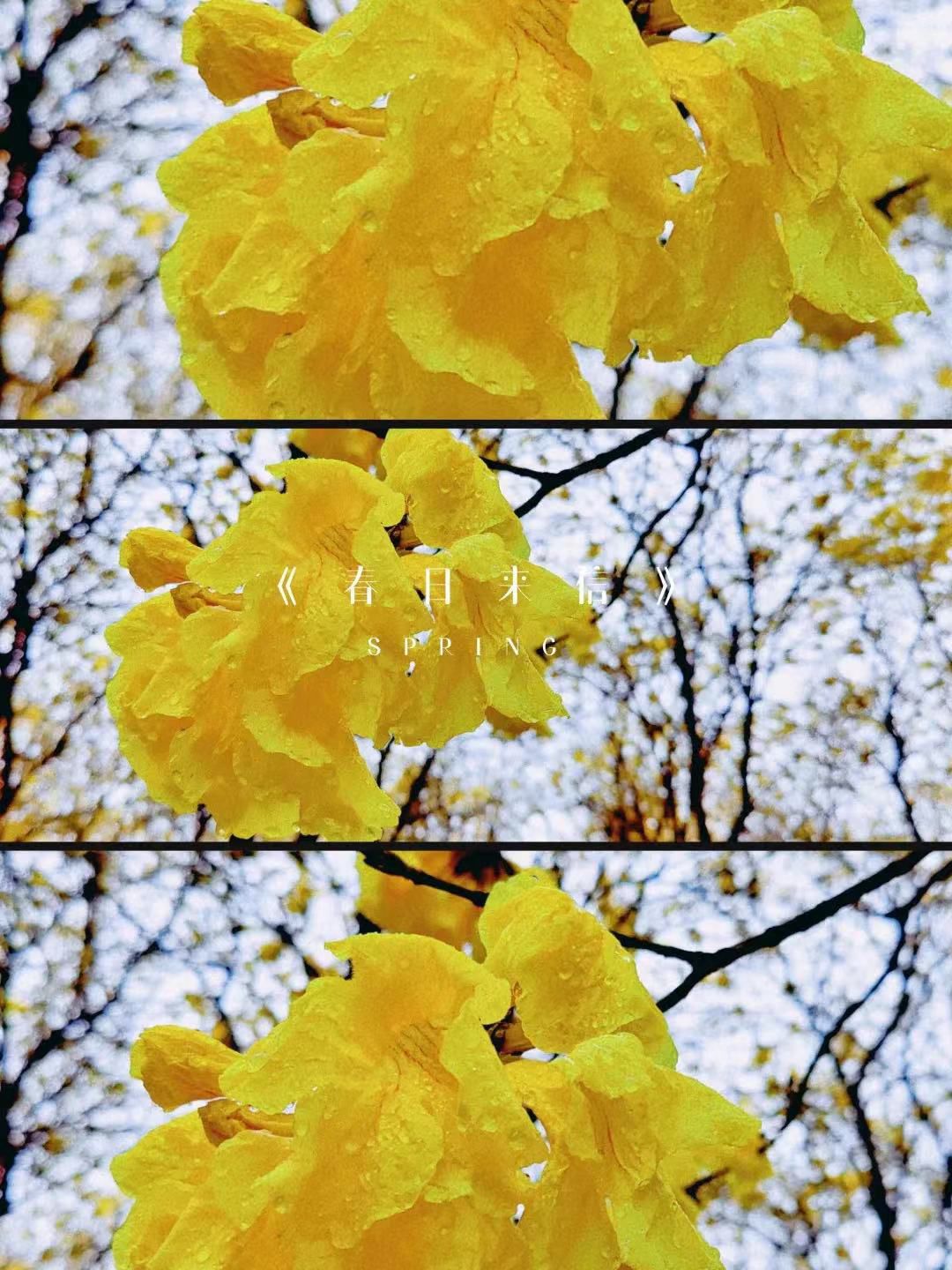 1650526937225916.jpg