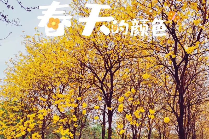 微信圖片_20220319140510.jpg